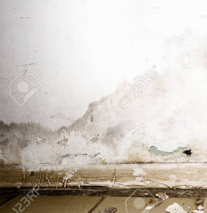 Mold Remediation Services Black Hills South Dakota